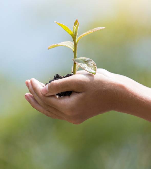 Se confirma percepción de que temas ESG dan viabilidad comercial a las empresas