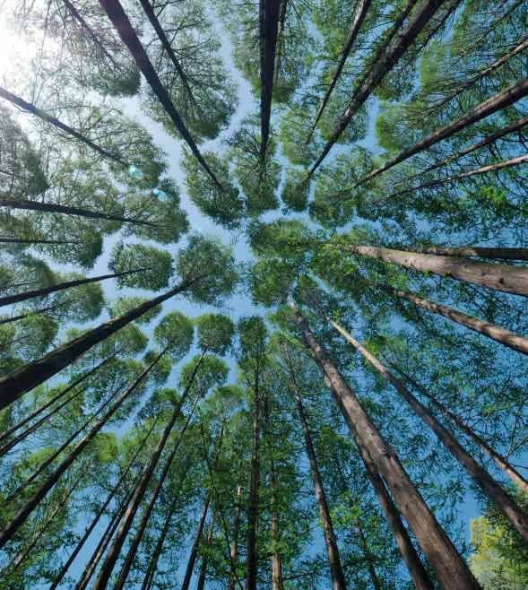 En Grant Thornton sabemos que la Sostenibilidad es una oportunidad estratégica