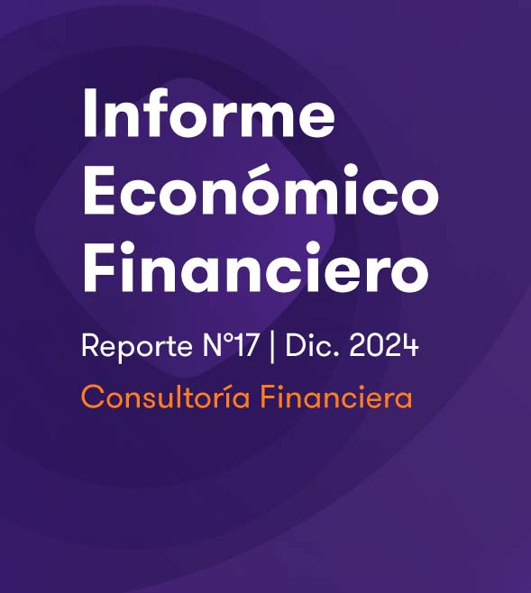 Informe Económico Financiero N°17