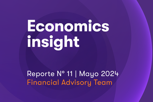 Economics Insight Mayo 2024