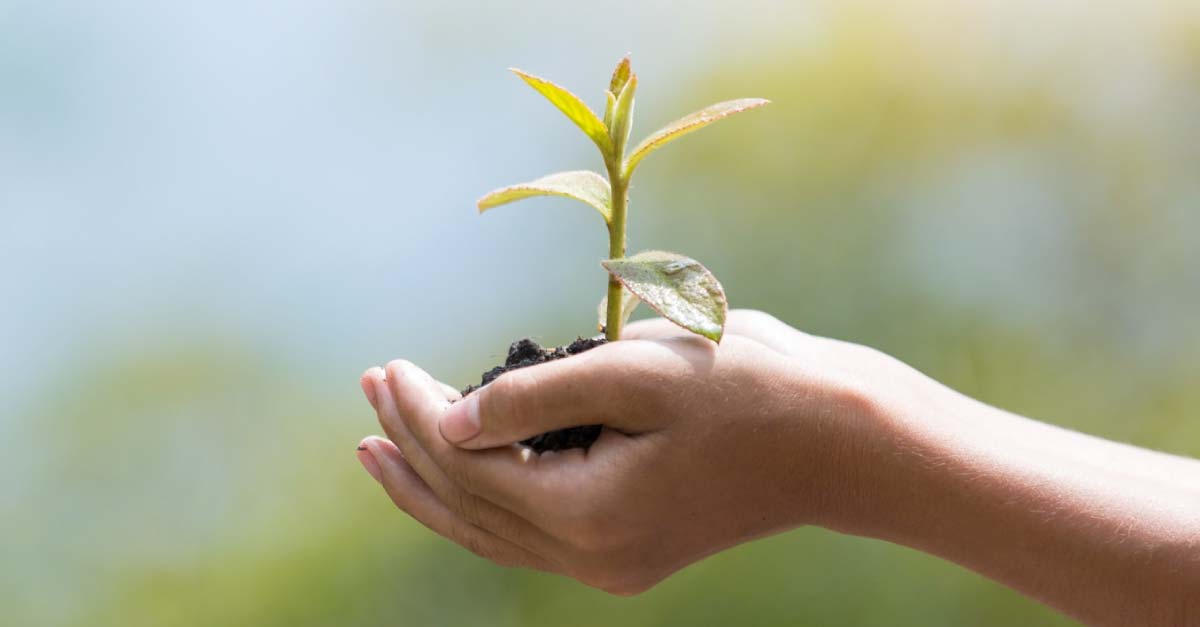 insight featured image