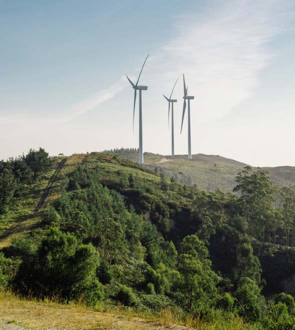 Te invitamos a revivir el webinar Sostenibilidad en la práctica