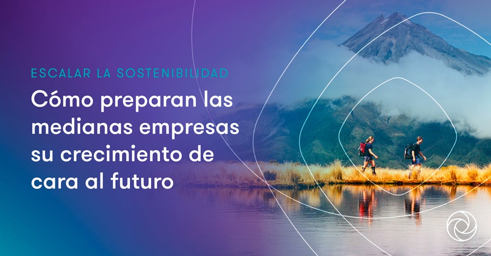 La sostenibilidad como estrategia